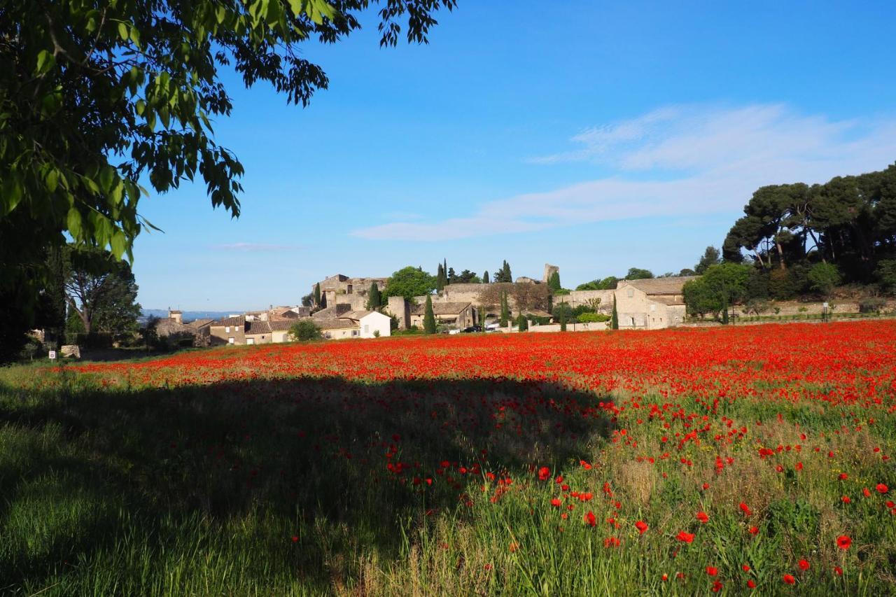 Chambres D'Hotes Le Relais Des Marmottes En Luberon Lagnes Екстериор снимка