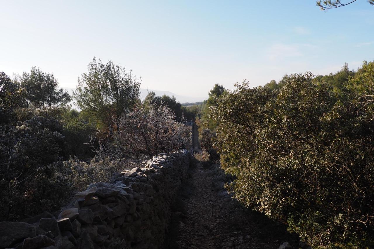 Chambres D'Hotes Le Relais Des Marmottes En Luberon Lagnes Екстериор снимка