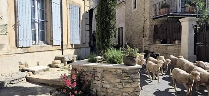 Chambres D'Hotes Le Relais Des Marmottes En Luberon Lagnes Екстериор снимка